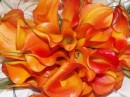 1058042_bouqet